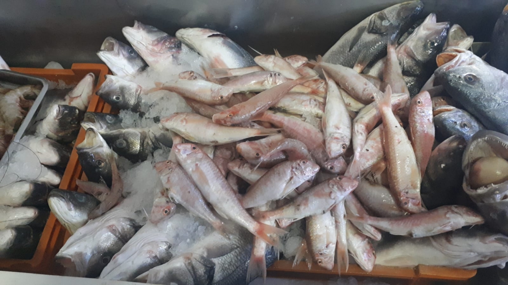 mersinde en iyi balık lokantası